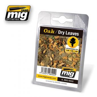 Oak Leaves - Dry 