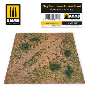 Dry Summer Grasland 