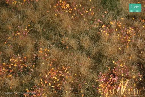 Prairie alluviale avec mauvaises herbes, fin de l'automne 