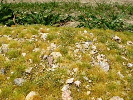 Prairie avec pierres - fin de l'été - Minipack 