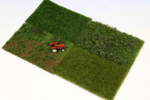 Kit de démarrage tapis d'herbe - début d'été 