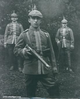Hanne, Wolfgang : Die feldgraue Uniformierung des deutschen Heeres 1907-1918. Volume 3 : Livre d'images 