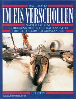 Hayes, D. : Disparu dans la glace. 50 ans après : La récupération de l'escadron de l'armée de l'air américaine "Tomcat Yellow" dans les glaces du Groenland 
