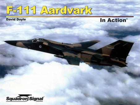 Doyle, David : F-111 Aardvark en action 