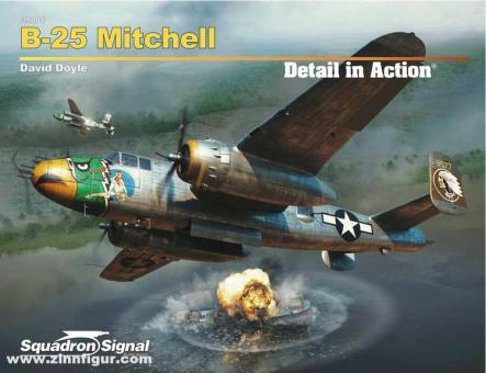 Doyle, David: B-25 Mitchell Detail in Action 