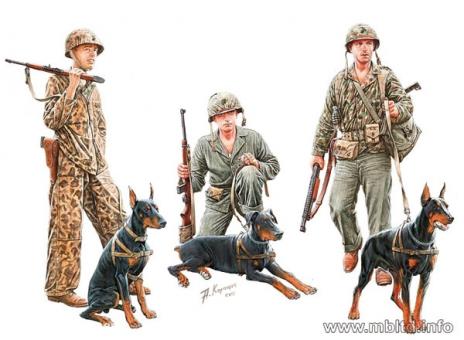 Soldats de l'USMC avec des chiens 