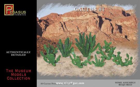 Grands cactus 