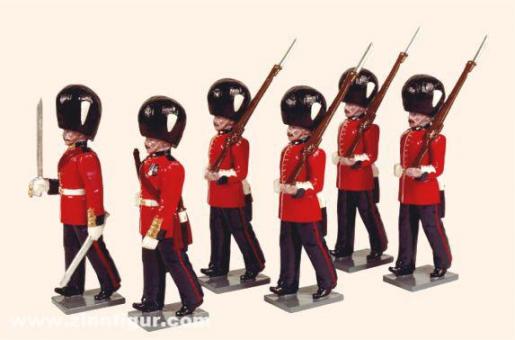 Grenadier Guards - 1895 