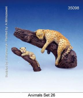 Animals Set 26: Jaguars 