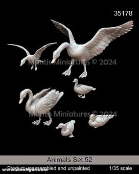 Animals Set 52: Ducks & Swans 