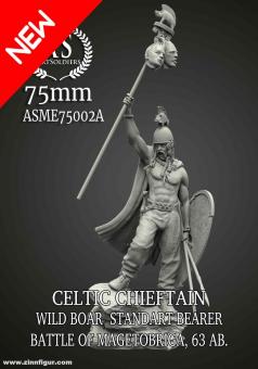 Keltischer Häuptling mit Helm und Standarte - Schlacht von Magetobriga 61 v.Chr. 