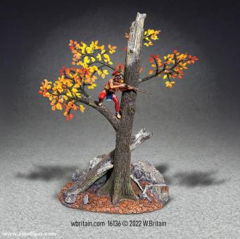"A Clear Shot" Native Warrior Firing from an Autumn Tree 