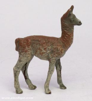Linéol, le petit garçon : Jeune lama 